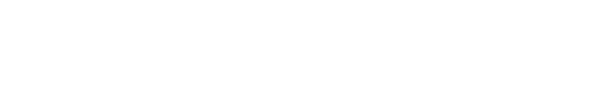Logo Nativo